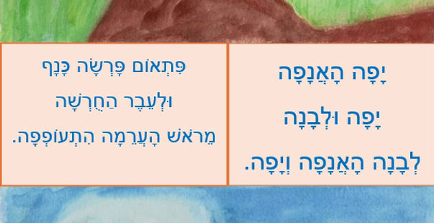 01 ספרי הציפורים כסדרה - 2 דקות